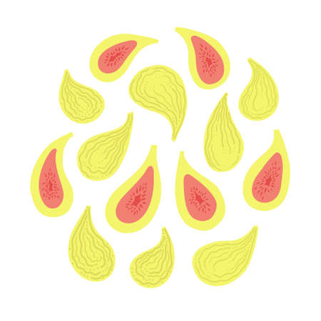 Round of figs sliced and whole top view. Vector flat illustration isolated on white.のイラスト素材