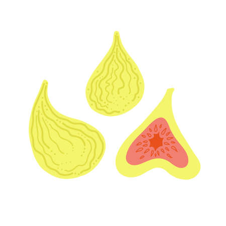 Green figs whole ripe fruits and slice. Vector flat illustration isolated on white.のイラスト素材