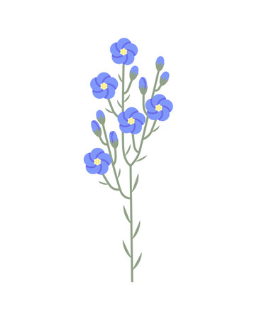 Flax plant. Blue flowers on leafy stem. Vector flat color illustration isolated on white background.のイラスト素材