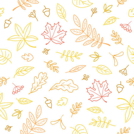 Fall leaves seamless pattern. Color line hand drawn vector illustration on white background.のイラスト素材