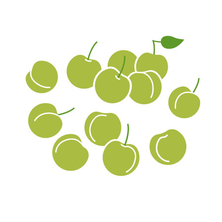 Green plum fruit bunch. Flat vector illustration isolated on white background.のイラスト素材