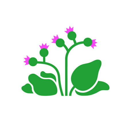 Burdock plant with leaves and flowers. Vector flat illustration isolated on white background.のイラスト素材