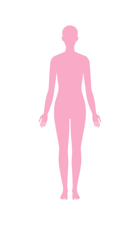 Standing female body silhouette front view. Vector flat illustration isolated on white.のイラスト素材