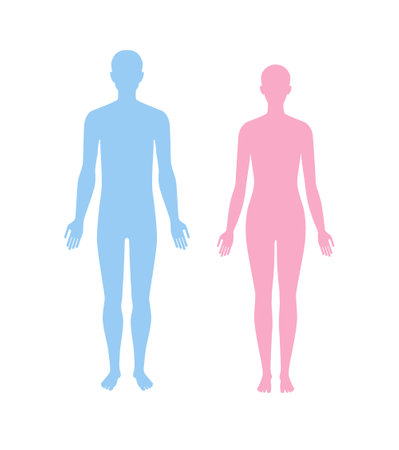 Standing slim man and woman silhouettes front view. Vector flat illustration isolated on white.のイラスト素材