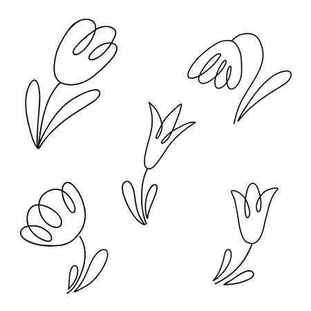Tulip flowers collection. Doodle style vector line illustration isolated on white background.のイラスト素材