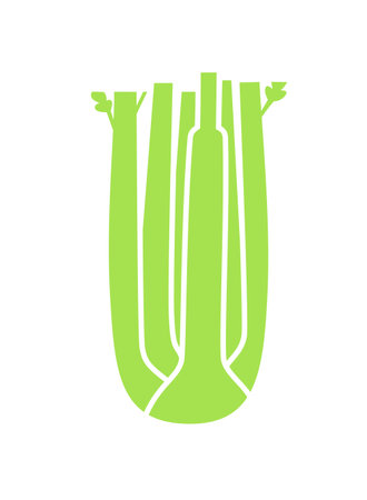 Celery hearts. Flat vector color illustration isolated on white background.のイラスト素材