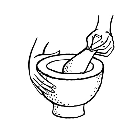 Female hands grinding with a mortar and pestle. Ink hand drawn line vector illustration on white background.のイラスト素材