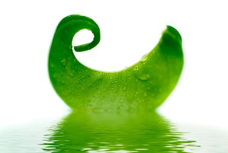 fresh leaf floating in waterの写真素材