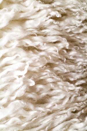 Structure of the sheep skin.