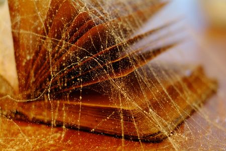 Still-life, old book in a web.の写真素材