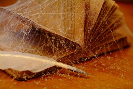 Still-life, old book in a web.の写真素材