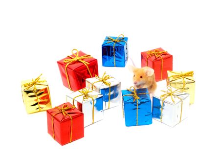 Boxes of gifts and a mousy in a cap. Isolation on white.
の写真素材