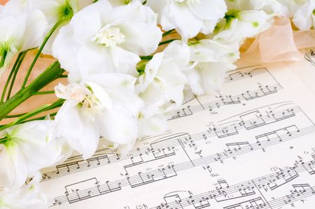 flower on a musical sheetの写真素材