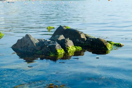 Background of a surface of water.
の写真素材