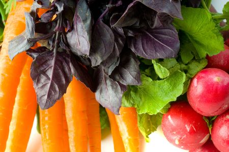 Assortment of fresh vegetables
の写真素材