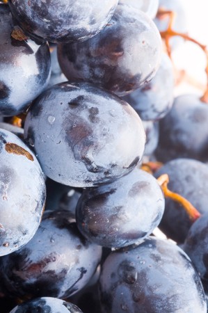 Red Grapes の写真素材