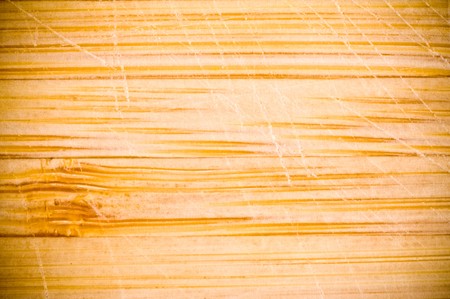 Grunge Wood Background
の写真素材