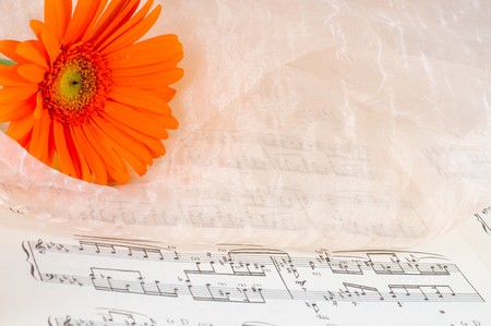 Notes with a beautiful flower. Romanticismの写真素材