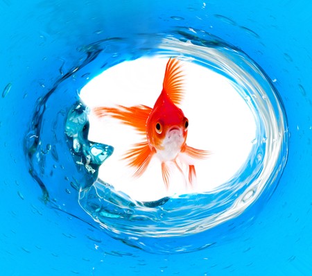 Goldfish is jumping out of  waterの写真素材