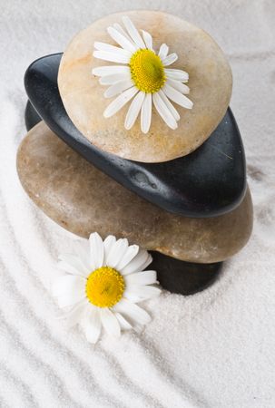 Spa stone and beautiful flowerの写真素材