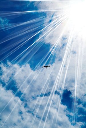 Background abstract. blue sky and birdの写真素材