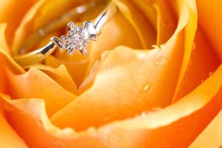 Wedding ring and rose/ macroの写真素材