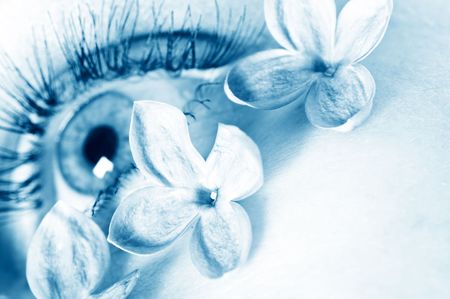 macro beautiful female eyeの写真素材