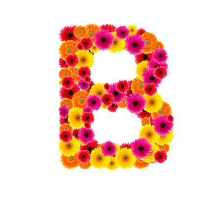 Alphabet of flower gerbers on isolated. B

の写真素材