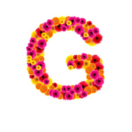Alphabet of flower gerbers on isolated, G

の写真素材