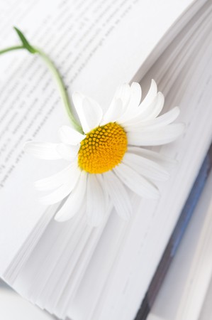 book and flowerの写真素材