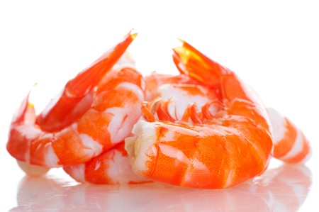 prawnの写真素材