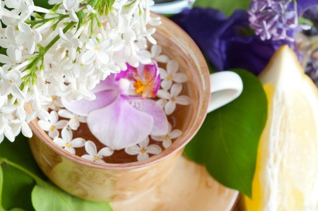 cup of tea and spring branch, flowerの写真素材