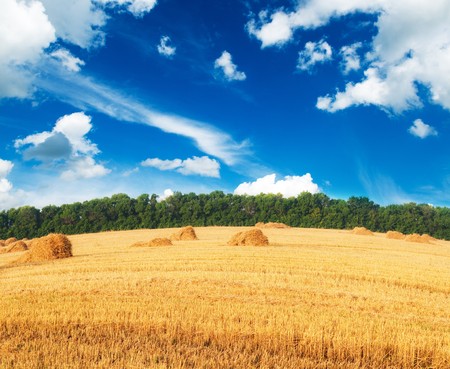 Straw bales on farmland with blue cloudy skyの写真素材