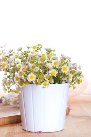 Camomiles bouquetsの写真素材