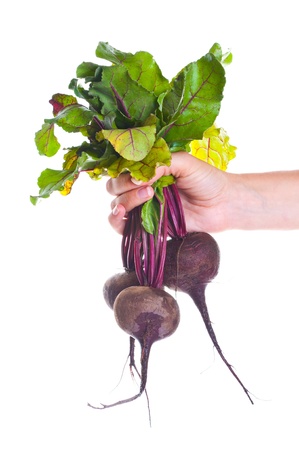 Fresh vegetables.  garden beet.の写真素材