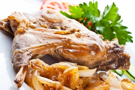Rabbit with a garnishの写真素材