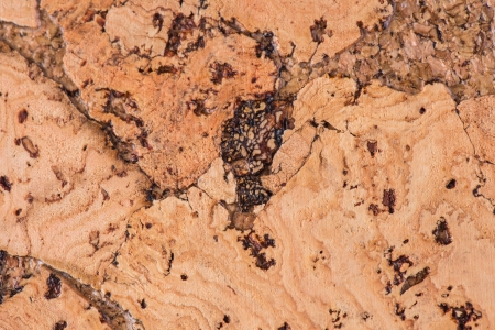 cork texture の写真素材