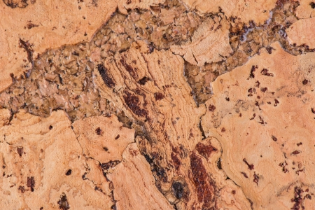 cork texture の写真素材