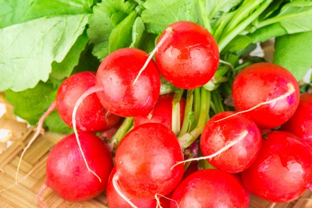 Fresh radishes with topsの写真素材