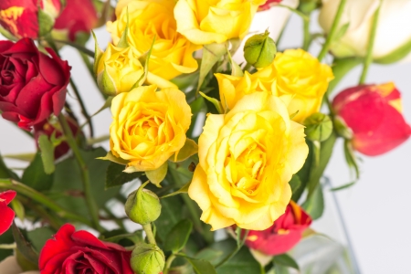 bouquet of red and yellow rosesの写真素材