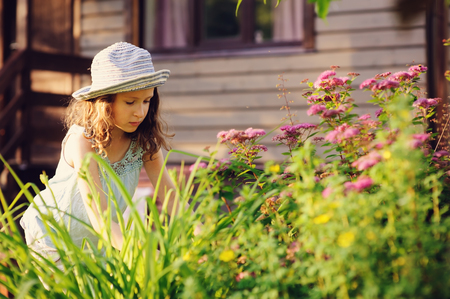 little gardener child girl helping to trim and cut spirea bush in summer garden. Seasonal yard work.の写真素材