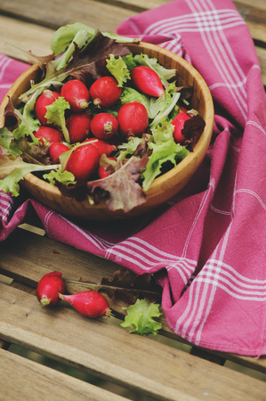 fresh farm home growth reddish and green salad in wooden plate, with garden bed on background. Veggie garden, summer hobby.の写真素材
