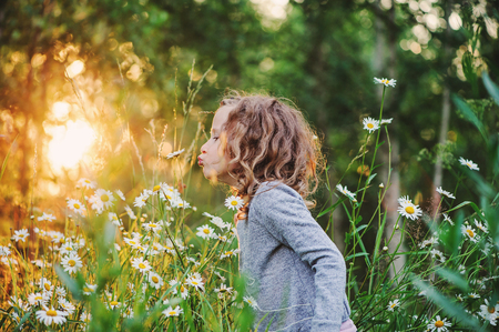 cute child girl picking flowers outdoor on summer field, cozy mood, rural sceneの写真素材