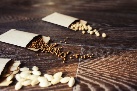 veggie seeds in craft paper envelope. Spring garden preparations for sowing seeds, organization and storage for safety.の写真素材