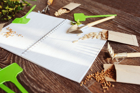 spring garden preparation for sowing vegetable seeds and planning. Pumpkin, coriander with labels, peat pots and tools on note book. Seasonal garden work.の写真素材