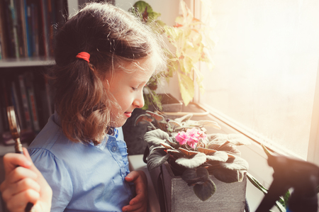 child girl learning to grow potted plants at home, Kid exloring home flowers  with loupe. Nature care and ecology conceptの写真素材