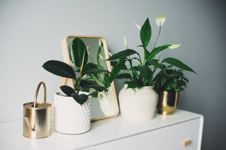 trendy modern scandinavian interior in white and gray tones decorated with houseplants and candles. Simply living and hygge conceptの写真素材
