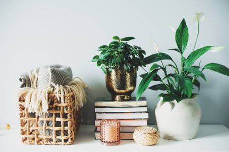 cozy modern interior details in scandinavian style with houseplants, warm blanket, candles and booksの写真素材