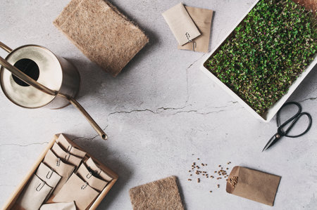 growing microgreen at home. Preparations for seeding with coconut rugs and seeds. Top view, copy space.の写真素材