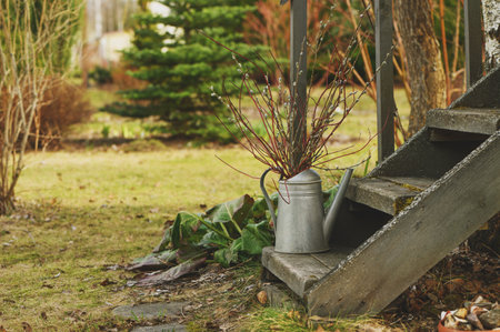 Early spring garden view. Old rustic stairs with twigs bouquet in watering canの写真素材